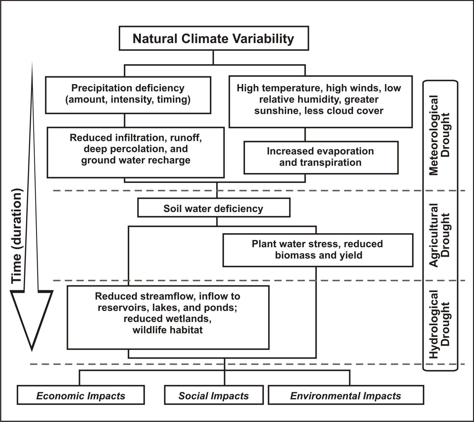 analysis and synthesis of drought