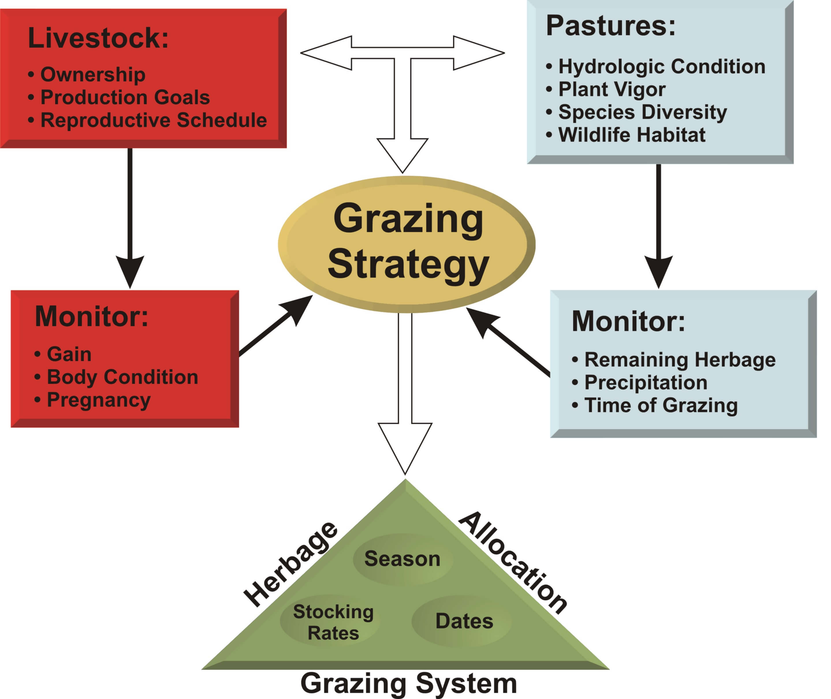 Grazing Strategy Diagram