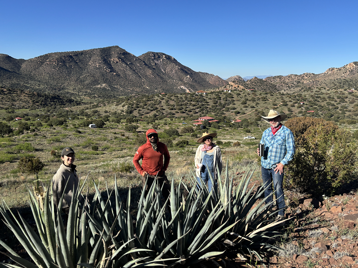 A group of people standing with agave plants.