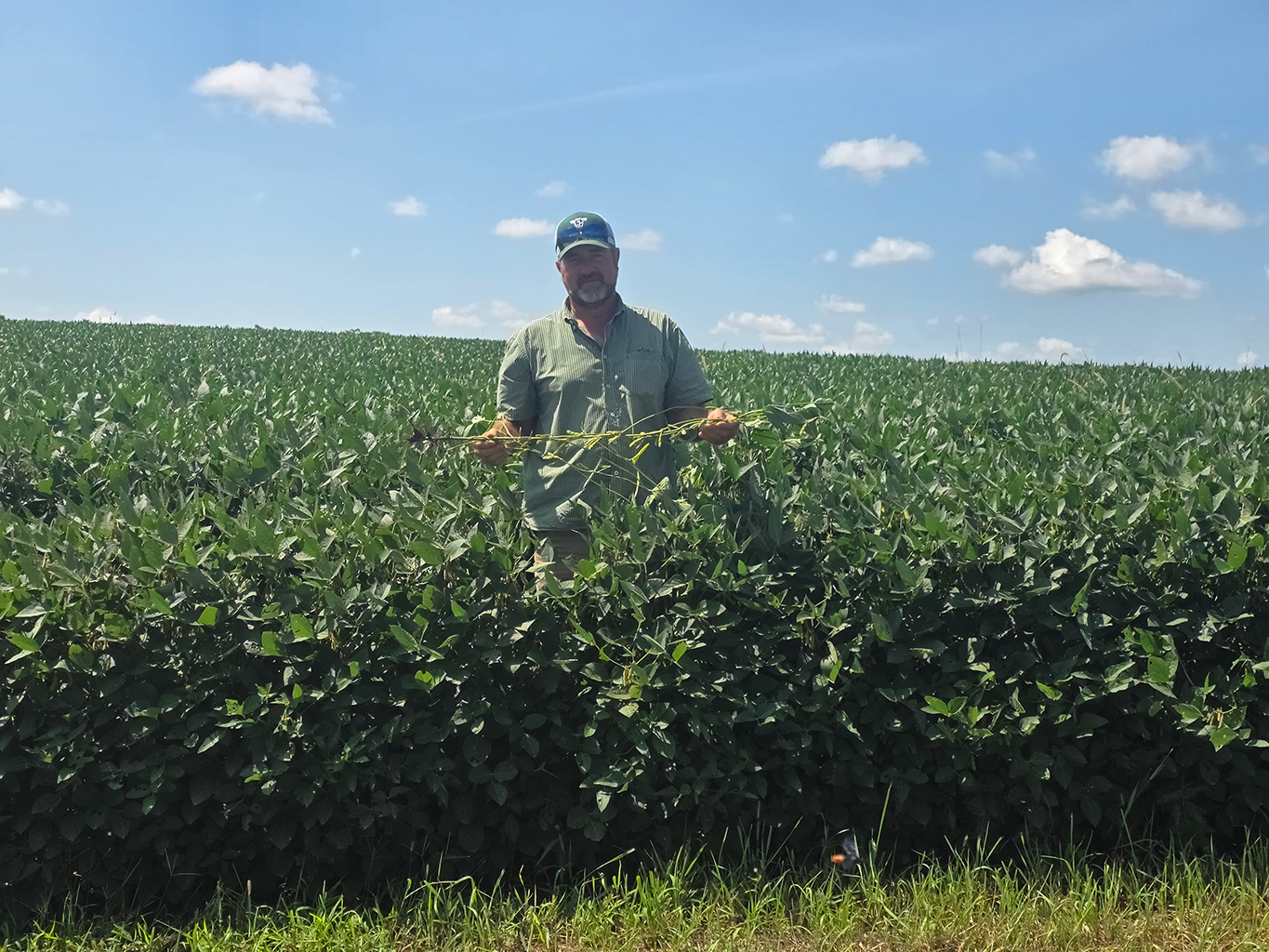 Jack Geiger standing in a field of soybeans