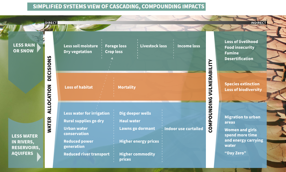 The Cascading and Compounding Impacts of Drought report cover