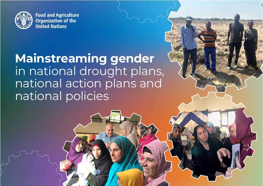 Mainstreaming gender in national drought plans, national action plans and national policies report cover