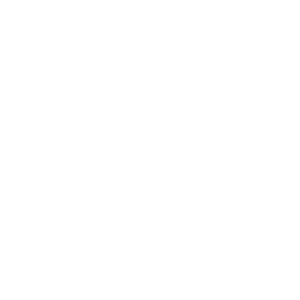 facilitator icon